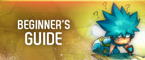 Beginner's guide