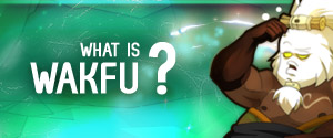 What is WAKFU?