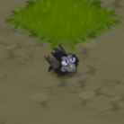 Crobeak