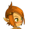 Carte wexpay dofus