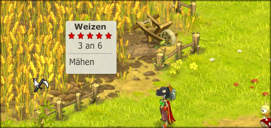 Reife der Ressourcen