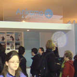 Angoulême photo 2