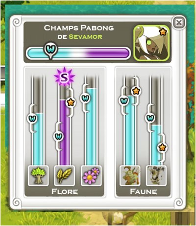Interface Ecosystème
