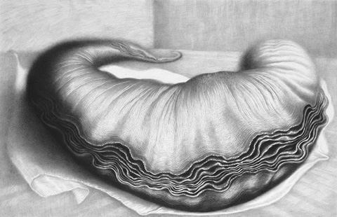 DAVOR VRANKIC