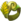 Anillo Atuh Salú