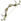 Ancestral Treechnid Bow