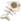 Arêtes