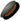 Moule Fraîche