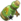 Astruber Landpomeranzensabber