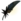 Black Crow's Feather