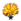 Astruber Feldhüter-Mähne