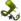 Astruber Feldwurzel