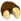 Pata de prespic