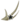 Astruber Gliglihaare
