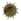 Chestnut