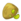 Bohnensamen