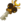 Chiave Chitinosa
