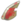 Blutige Rückenflosse
