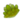 Grassy Moss